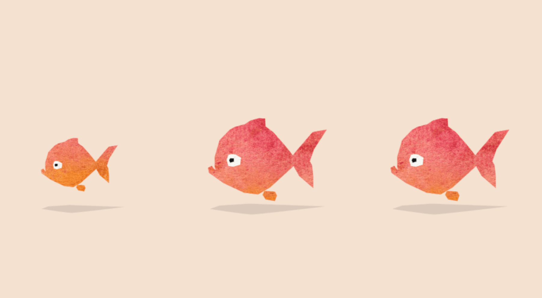 Welcher Fisch passt nicht zu den anderen?